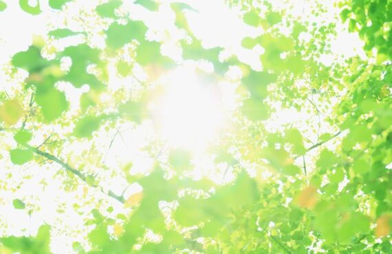 中央区で子供のゴルフスクールをお探しの方はキッズゴルフクラブまで